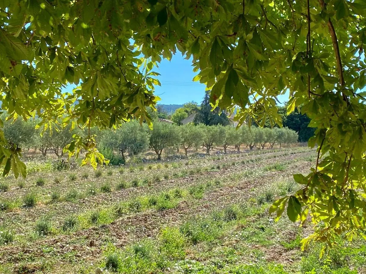 Mas Des Olives Bed & Breakfast Bedoin France