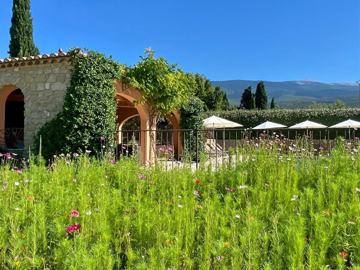 Mas Des Olives Bed & Breakfast Bedoin