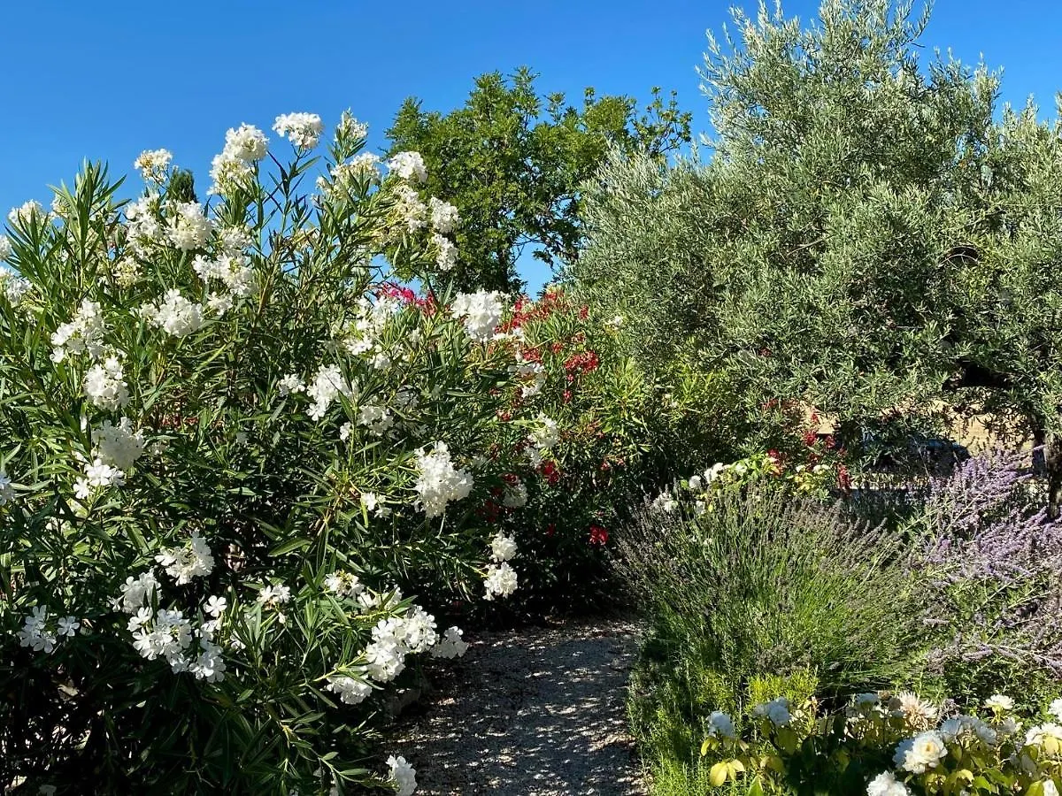 Mas Des Olives Bed & Breakfast Bedoin 0*,  France