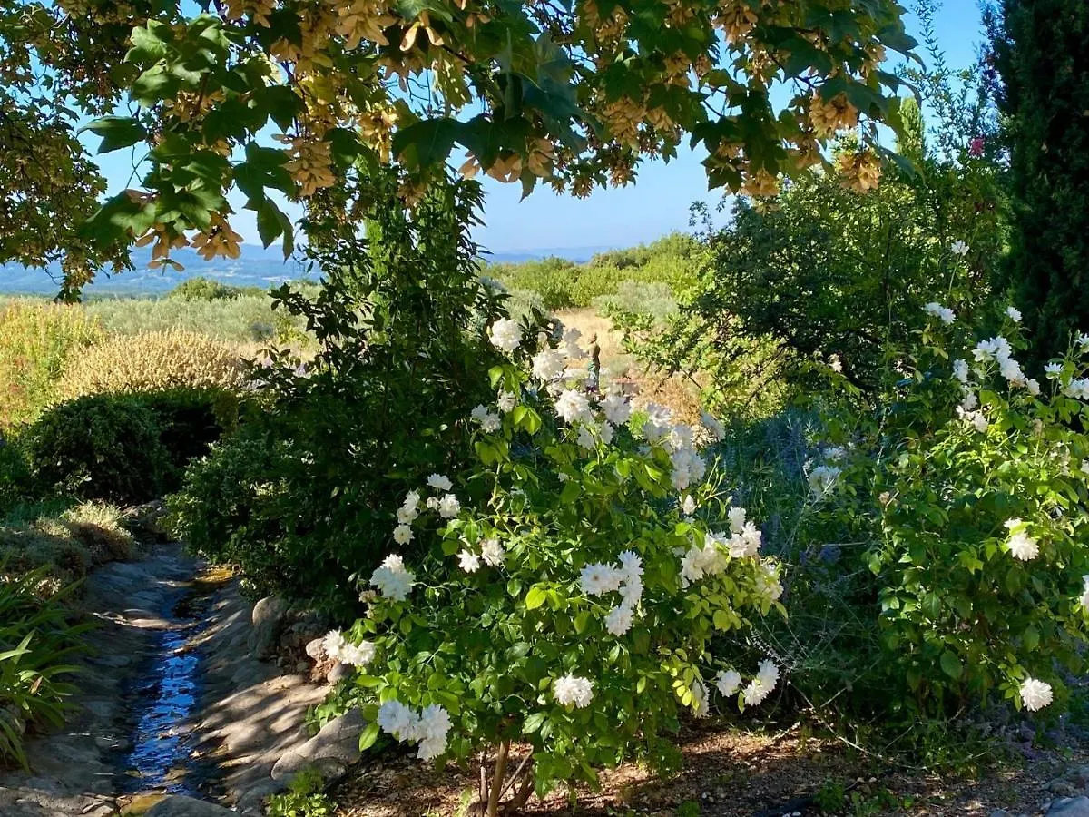 Mas Des Olives Bed & Breakfast Bedoin